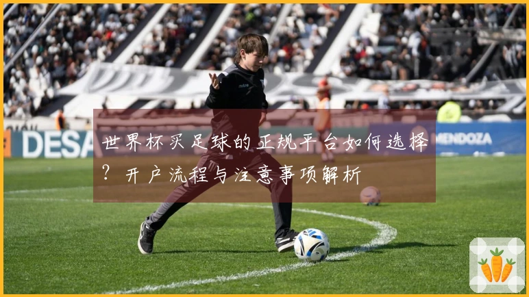 世界杯买足球的正规平台如何选择？开户流程与注意事项解析
