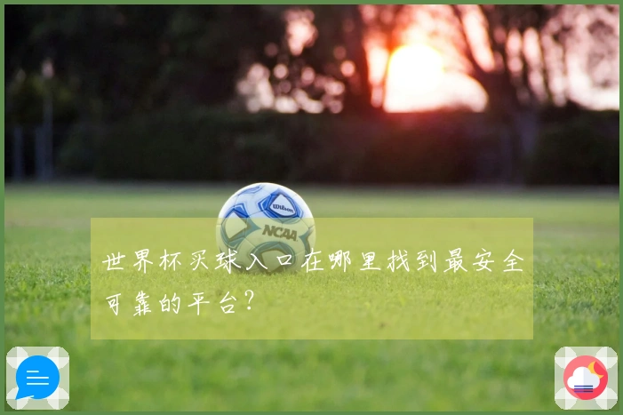世界杯买球入口在哪里找到最安全可靠的平台？