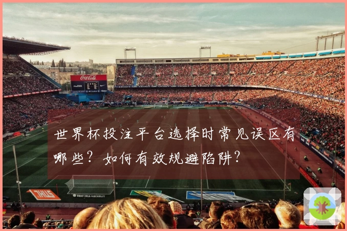 世界杯投注平台选择时常见误区有哪些？如何有效规避陷阱？