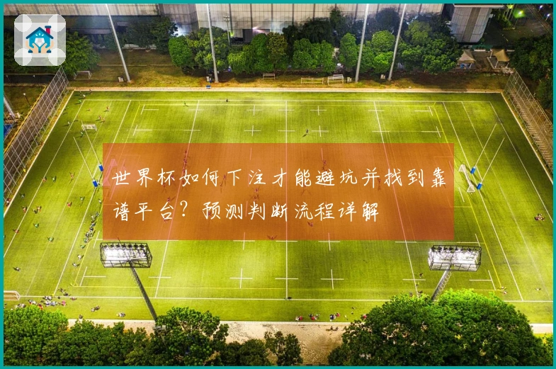 世界杯如何下注才能避坑并找到靠谱平台？预测判断流程详解