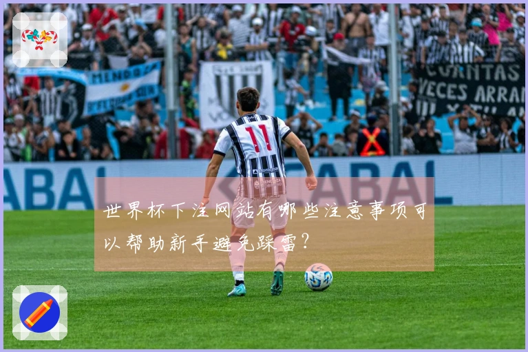 世界杯下注网站有哪些注意事项可以帮助新手避免踩雷？