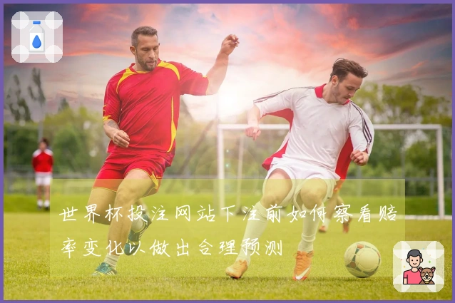 世界杯投注网站下注前如何察看赔率变化以做出合理预测